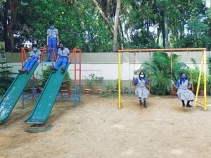 Activity 15